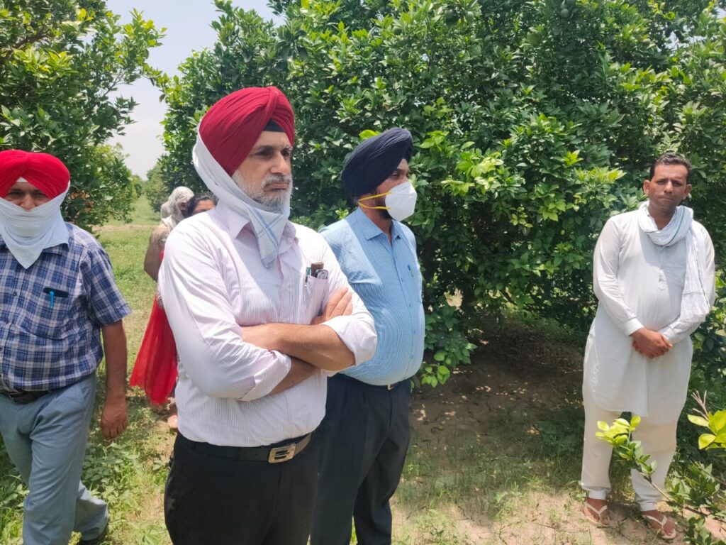 ਕਿਨੂੰ ਬਾਗਬਾਨ ਤਕਨੀਕੀ ਸਲਾਹ ਲਈ ਬਾਗਬਾਨੀ ਵਿਭਾਗ ਨਾਲ ਕਰਨ ਰਾਬਤਾ -ਡਿਪਟੀ ਡਾਇਰੈਕਟਰ