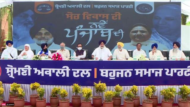 SAD & BSP Officially Announce Alliance