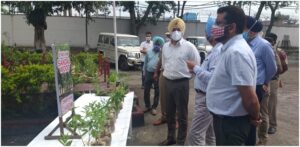 WORLD ENVIRONMENT DAY-CJM INITIATES 1000 SAPLINGS TO BE PLANTED IN THE DRIVE