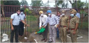 WORLD ENVIRONMENT DAY-CJM INITIATES 1000 SAPLINGS TO BE PLANTED IN THE DRIVE