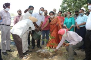 DC INITIATES MEGA PLANTATION DRIVE IN GOVERNMENT COLLEGE FOR GIRLS UNDER MISSION TANDARUST PUNJAB