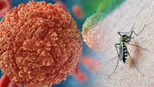 FIRST CORONA NOW ZIKA VIRUS SURFACING KERALA