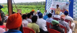 ਝੋਨੇ ਦੀ ਸਿੱਧੀ ਬਿਜਾਈ ਨੂੰ ਉਤਸ਼ਾਹਿਤ ਕਰਨ ਲਈ ਮਨਾਇਆ ਗਿਆ ਖੇਤ ਦਿਵਸ