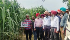 ਕੇਨ ਕਮਿਸ਼ਨਰ,ਪੰਜਾਬ ਵੱਲੋਂ ਗੰਨੇ ਦੇ ਬੀਜ ਵਾਲੀ ਫਸਲ ਦੀਆਂ ਨਰਸਰੀਆਂ ਦਾ ਕੀਤਾ ਗਿਆ ਨਿਰੀਖਣ