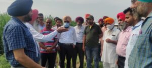 ਕੇਨ ਕਮਿਸ਼ਨਰ,ਪੰਜਾਬ ਵੱਲੋਂ ਗੰਨੇ ਦੇ ਬੀਜ ਵਾਲੀ ਫਸਲ ਦੀਆਂ ਨਰਸਰੀਆਂ ਦਾ ਕੀਤਾ ਗਿਆ ਨਿਰੀਖਣ