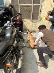 ਪਸ਼ੂ ਪਾਲਣ ਵਿਭਾਗ ਫਜ਼ਿਲਕਾ ਵਲੋਂ ਅਵਾਰਾ ਕੁੱਤਿਆਂ ਨੂੰ ਹਲਕਾਅ ਤੋਂ ਬਚਾਅ ਲਈ ਟੀਕਾਕਰਨ ਮੁਹਿੰਮ ਜਾਰੀ