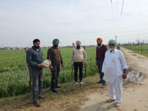 ਡਿਪਟੀ ਕਮਿਸ਼ਨਰ ਵੱਲੋਂ ਖਰਾਬ ਮੌਸਮ ਕਾਰਨ ਫਸਲਾਂ ਦੇ ਸੰਭਾਵੀ ਨੁਕਸਾਨ ਦਾ ਮੁਢਲਾ ਮੁਲਾਂਕਣ ਕਰਨ ਦੇ ਹੁਕਮ ਜਾਰੀ