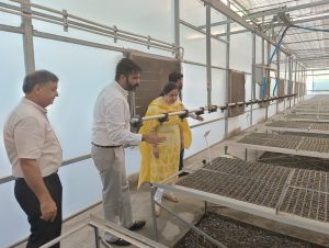 DEPUTY COMMISSIONER STARTS SEEDING OF VEGETABLES AT PUNJAB AGRO’S STATE-OF-THE-ART NURSERY FOR VEGETABLES