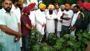 ਨਕਲੀ ਸ਼ੱਕੀ ਕੀਟਨਾਸ਼ਕ ਦਵਾਈਆਂ ਬਾਰੇ ਖੇਤੀਬਾੜੀ ਵਿਭਾਗ ਨੂੰ ਸੂਚਿਤ ਕਰਨ ਕਿਸਾਨ – ਗੁਰਮੀਤ ਸਿੰਘ ਖੁੱਡੀਆਂ