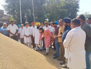 ਵਿਧਾਇਕਾਂ ਅਤੇ ਅਧਿਕਾਰੀਆਂ ਨੇ ਜ਼ਿਲ੍ਹੇ ਦੀਆਂ ਮੰਡੀਆਂ ਵਿੱਚ ਝੋਨੇ ਦੀ ਖਰੀਦ ਦਾ ਲਿਆ ਜਾਇਜ਼ਾ