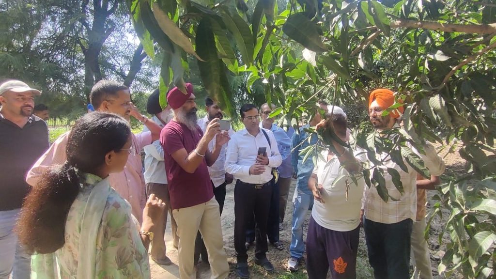 ਪੀ.ਏ.ਯੂ–ਕ੍ਰਿਸ਼ੀ ਵਿਗਿਆਨ ਕੇਂਦਰ ਵੱਲੋਂ ਫ਼ਲ ਖੋਜ ਕੇਂਦਰ ਗੰਗੀਆਂ ਵਿਖੇ ਬਾਗਬਾਨੀ ਫ਼ਸਲਾਂ ਦੀਆਂ ਪਿਉਂਦੀ ਤਕਨੀਕਾਂ ਬਾਬਤ ਸਿਖਲਾਈ ਕੋਰਸ ਦਾ ਆਯੋਜਨ