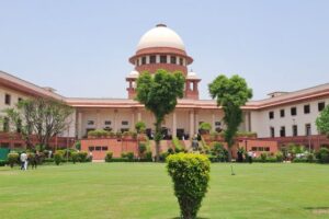 Apex Court Restricts Public Feeding of Stray Dogs