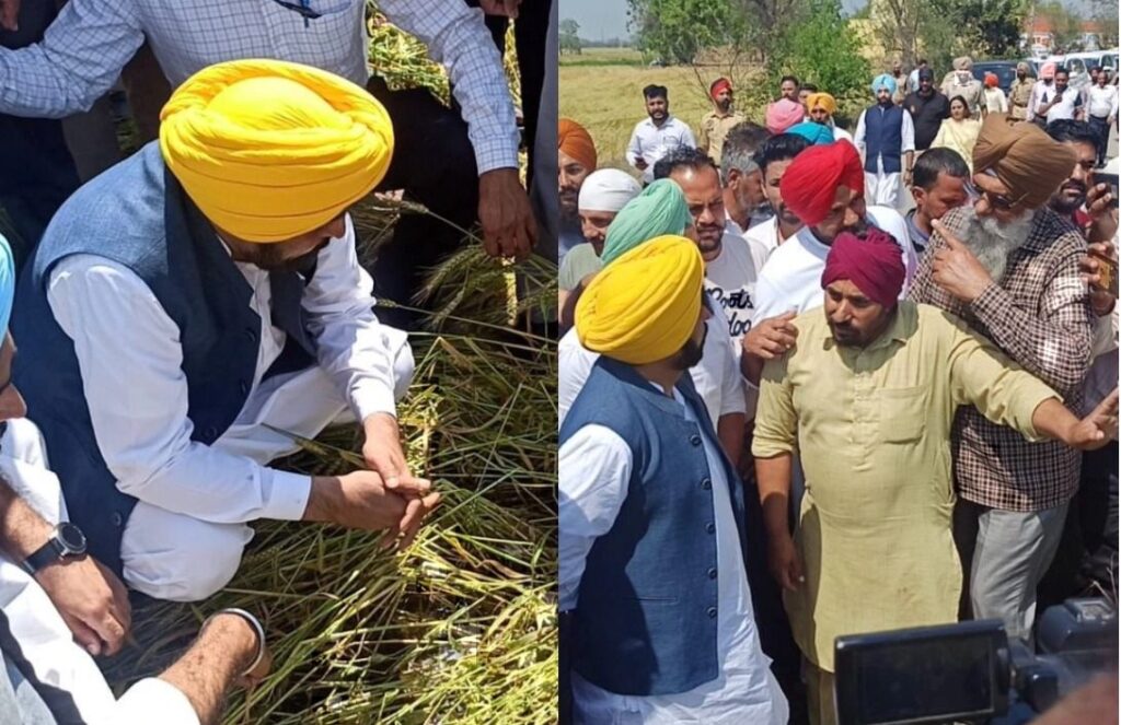 ਮੁੱਖ ਮੰਤਰੀ ਮਾਨ ਦਾ ਵਾਅਦਾ! ਵਿਸ਼ੇਸ਼ ਗਿਰਦਾਵਰੀ ਨਾਲ ਮਿਲੇਗਾ ਹਰ ਕਿਸਾਨ ਨੂੰ ਨੁਕਸਾਨ ਦਾ ਮੁਆਵਜ਼ਾ