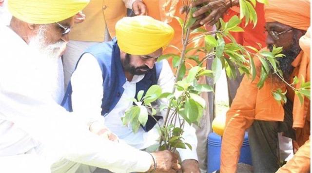 ਮਾਨ ਸਰਕਾਰ ਦਾ ਗ੍ਰੀਨਿੰਗ ਪੰਜਾਬ ਮਿਸ਼ਨ : ਰਿਕਾਰਡ 12,55,700 ਰੁੱਖ ਲਗਾਉਣ ਨਾਲ ਪੰਜਾਬ ਬਣਿਆ ‘ਹਰਿਆਲੀ ਜ਼ੋਨ, ਸੂਬੇ ਦੀ ਸਭ ਤੋਂ ਵੱਡੀ ਵਾਤਾਵਰਣ ਪ੍ਰਾਪਤੀ