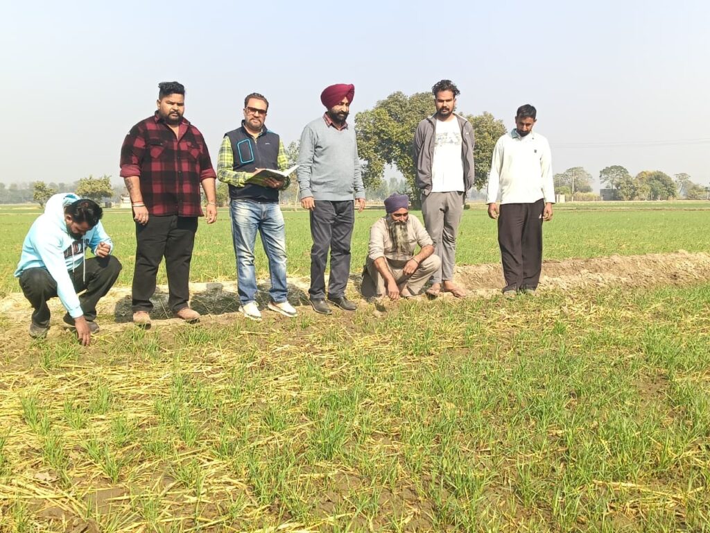 ਮੁੱਖ ਖੇਤੀਬਾੜੀ ਅਫ਼ਸਰ ਵੱਲੋਂ ਪਿੰਡ ਕੋਟੜਾ ਕਲਾਂ, ਭੀਖੀ, ਢੈਪਈ ਤੇ ਜੱਸੜਵਾਲ ਵਿਚ ਕਣਕ ਦੀ ਫ਼ਸਲ ਦਾ ਨਿਰੀਖਣ