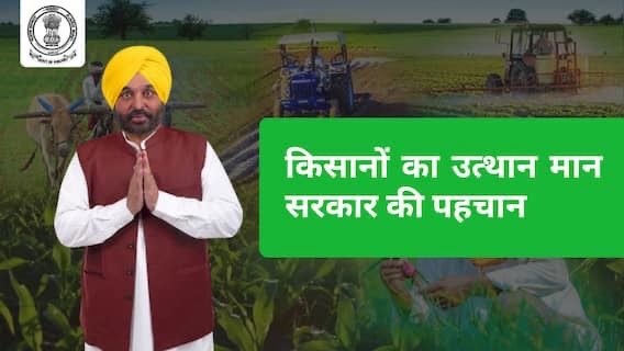 Mann government’s initiative brings joy to farmers, canal water reaches fields after decades! Record-breaking impact of irrigation transformation seen