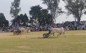 Overwhelming response continues on second Day of Kila Raipur Rural Olympics 2026