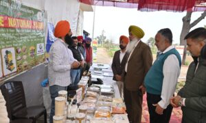 ਕ੍ਰਿਸ਼ੀ ਵਿਗਿਆਨ ਕੇਂਦਰ ਵਿਖੇ 19ਵੀਂ ਵਿਗਿਆਨਕ ਸਲਾਹਕਾਰ ਕਮੇਟੀ ਦਾ ਆਯੋਜਨ