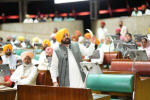 Issue of Vehicle Damage Due to E-20 Petrol Echoes in Punjab Vidhan Sabha